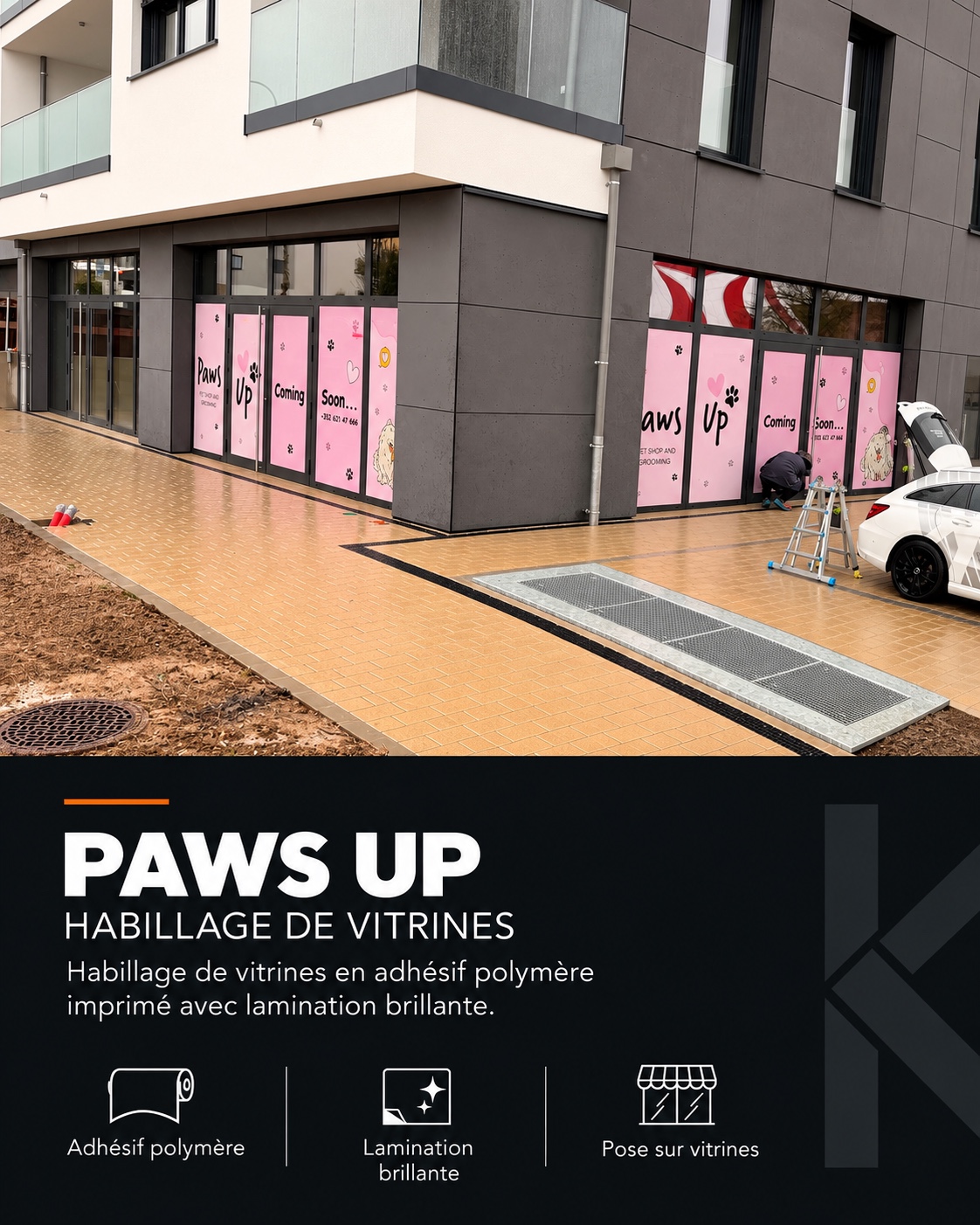 Paws Up — Habillage de vitrines